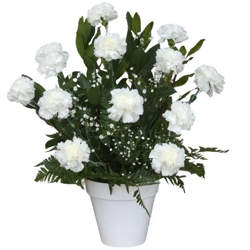 Arreglo floral de condolencias claveles blancos